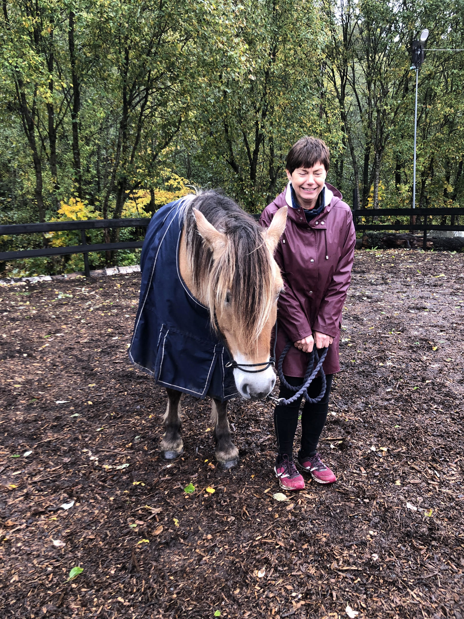 Magi i luften når man har (bakke)kontakt med heste