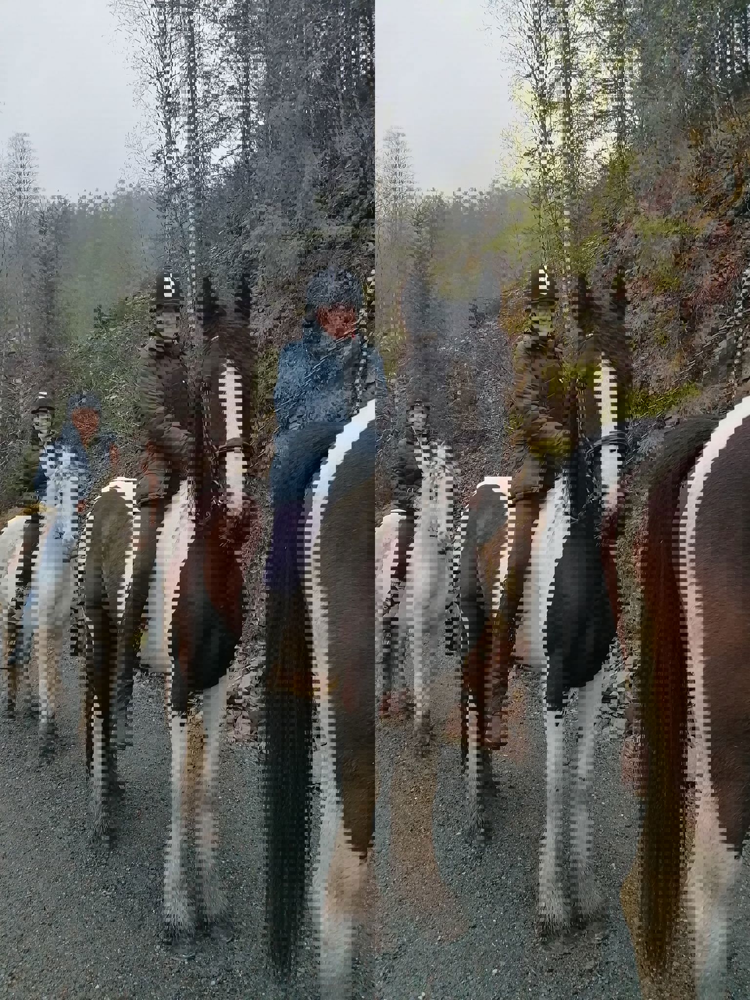 Ridetur, bakkearbeid, sprang og dressur i pinsen