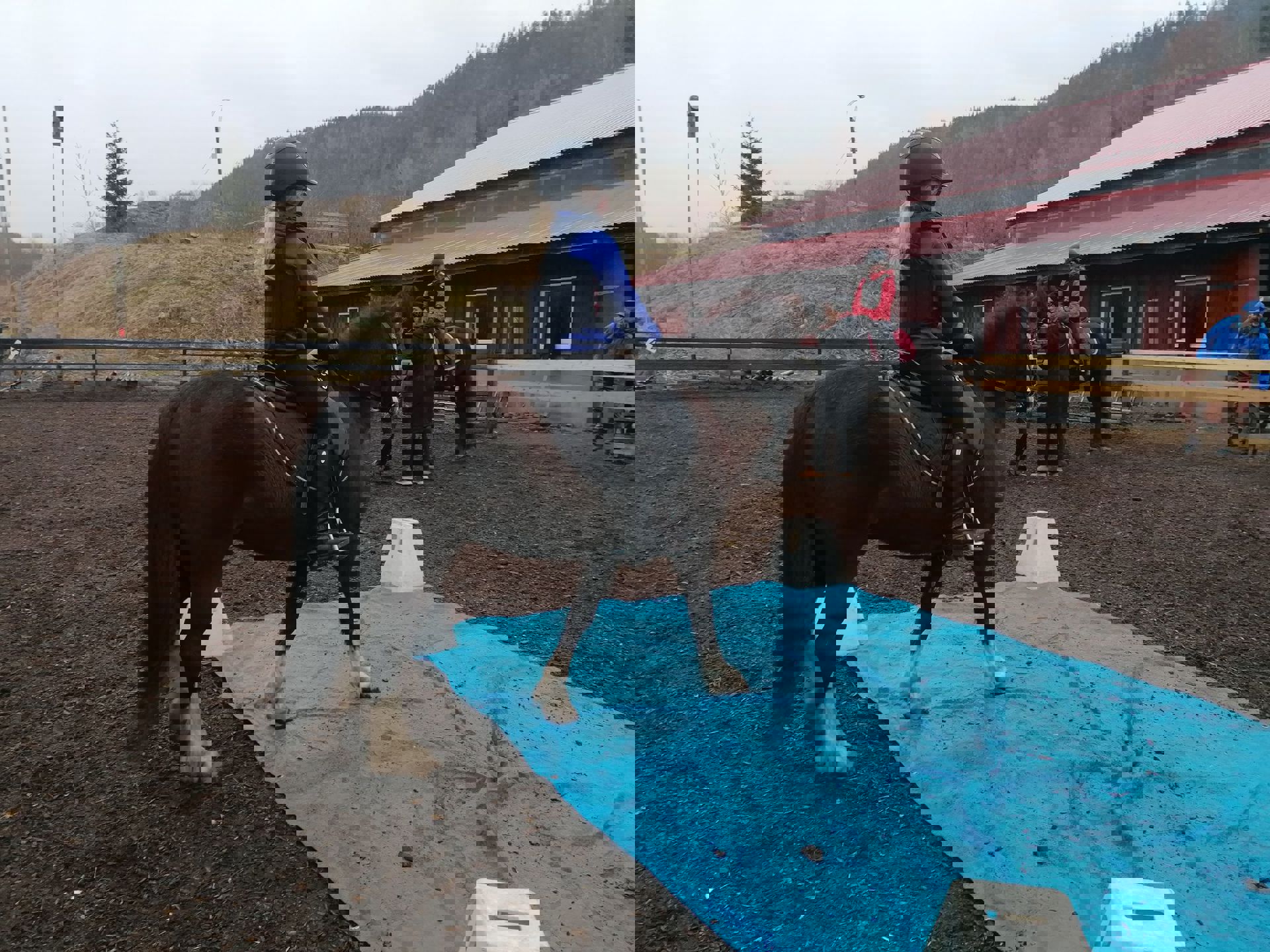 Påmelding til høstsemesteret i rideskolen