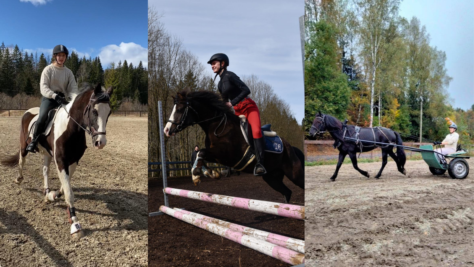 Sommeravslutning 10. juni