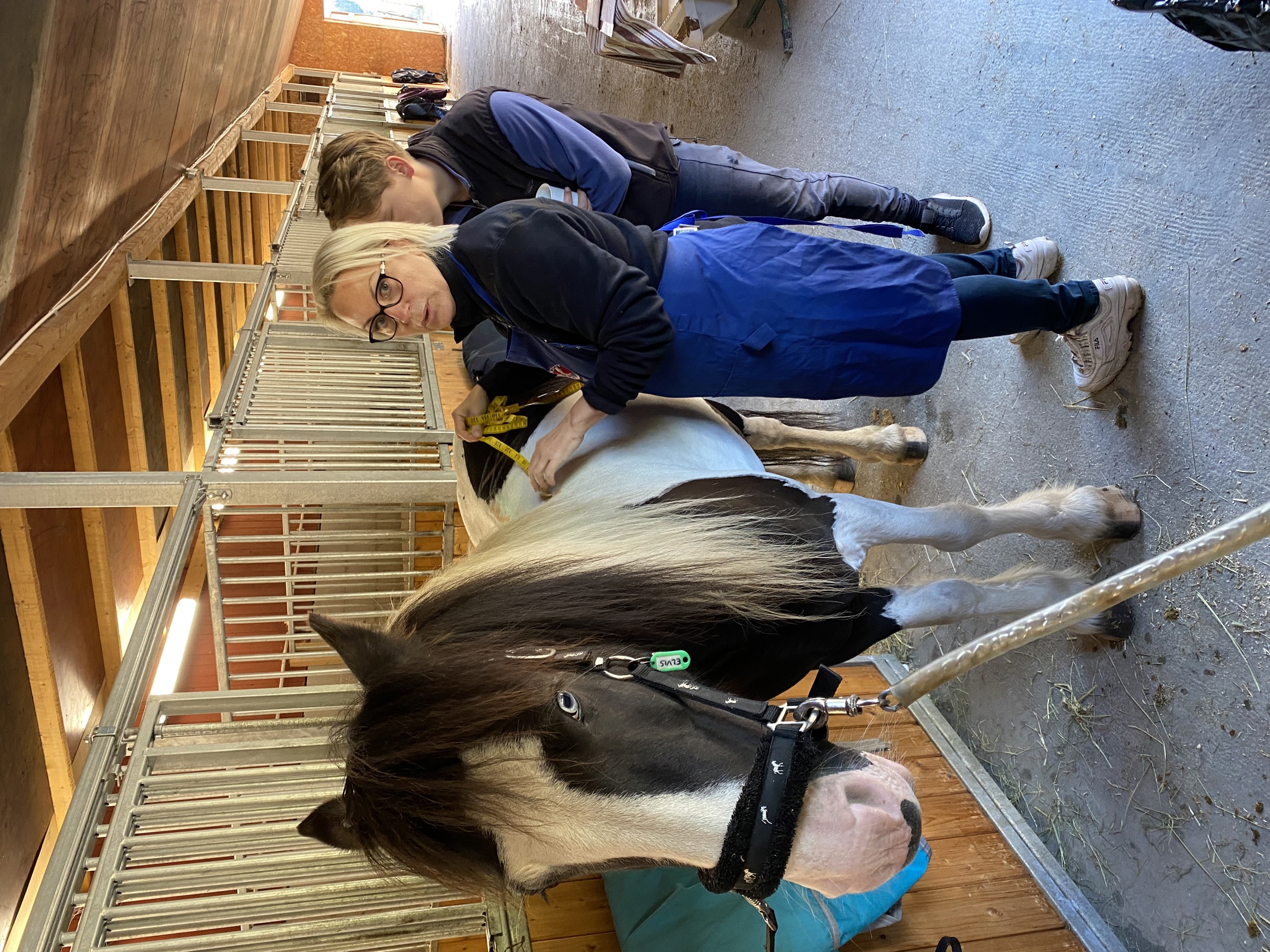 Sparebankstiftelsen DNB støtter hestevelferd  