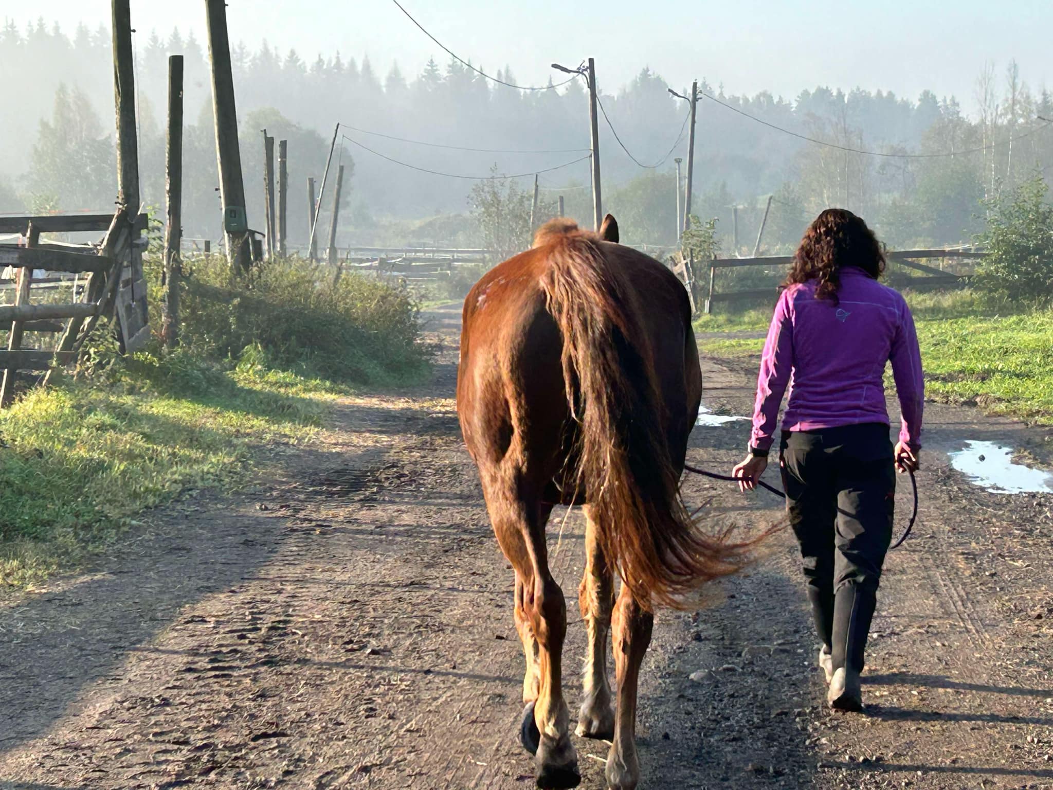 Artikkelbilde til artikkelen Frivillig hos oss